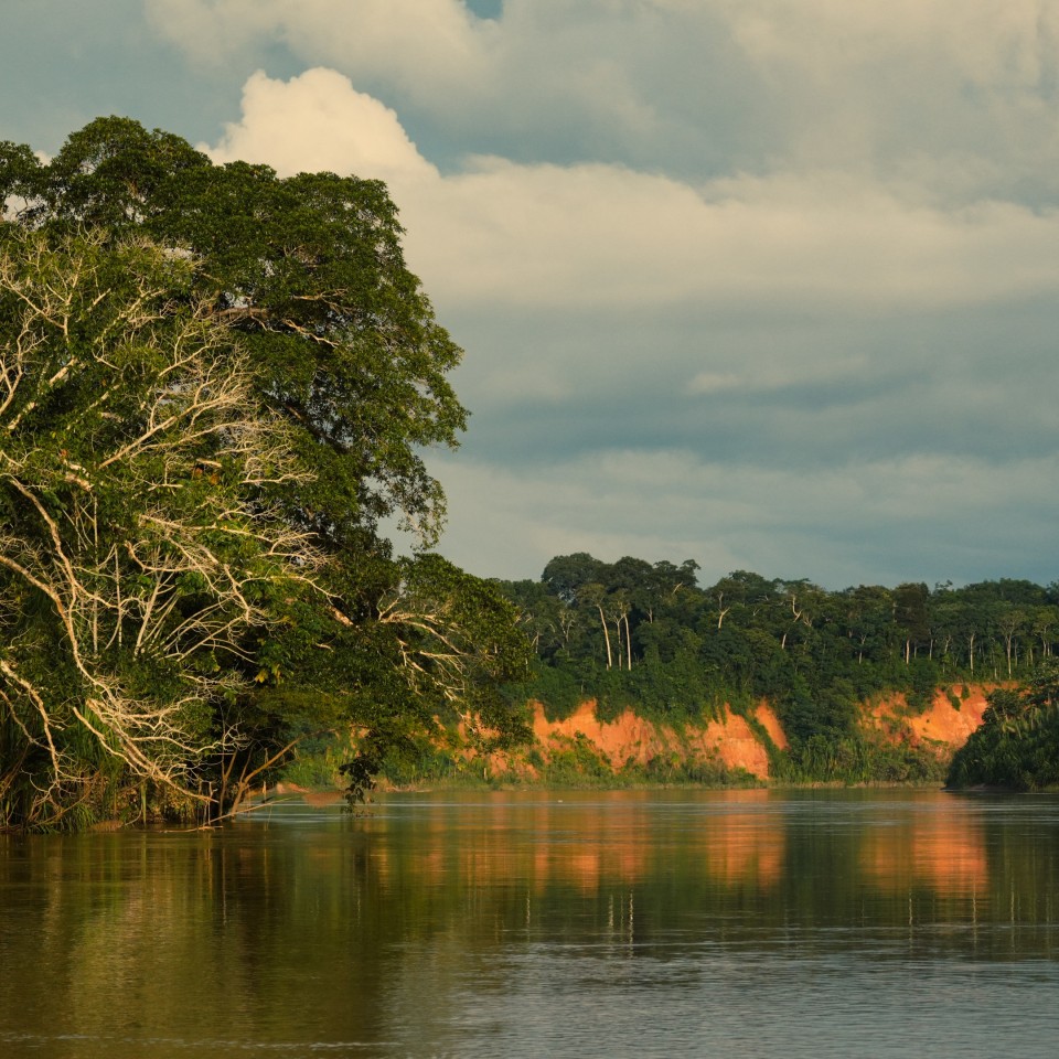Dschungel-Abenteuer im Amazonas